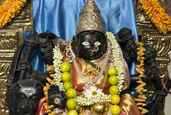 Sri Lakshmi Ganapathi and Hindu Cultural Center of OHIO Gallery