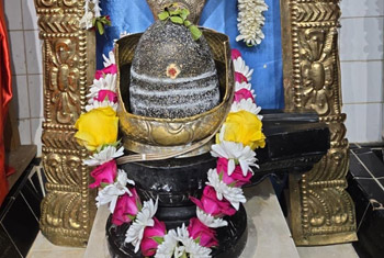 Sri Lakshmi Ganapathi and Hindu Cultural Center of OHIO Gallery